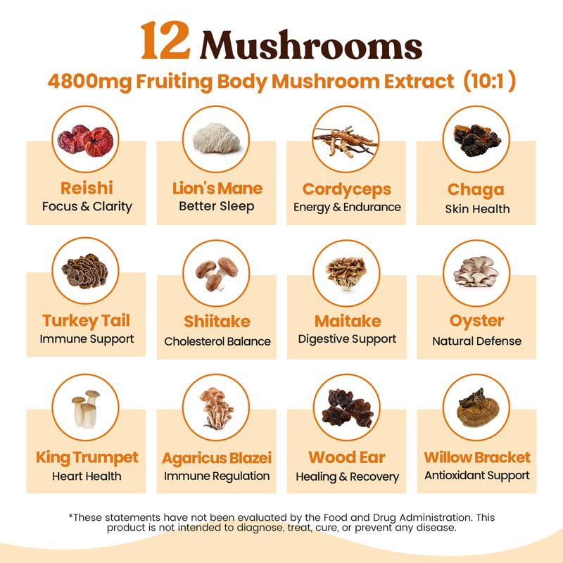 Venture Pal Mushroom Coffee (40 Servings) 12 Adaptogenic Mushrooms, Lion’s Mane, Cordyceps, Turkey Tail, Reishi, Ashwagandha & Probiotics, Instant