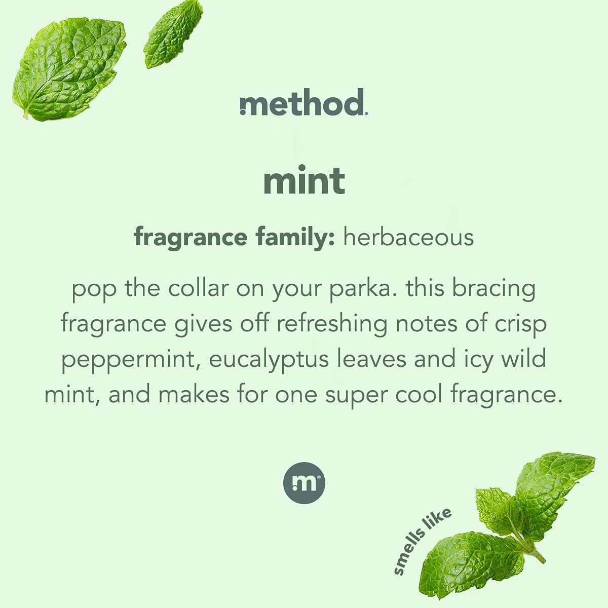 Method Glass Cleaner + Surface Cleaner, Mint, 28 Ounce