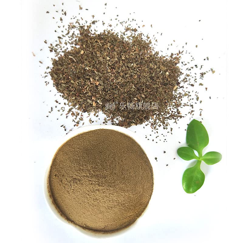 Zercumm Chinese Basil Powder 500G Basil Powder Western Food Flavor Spice Seasoning
