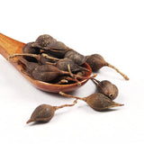 Plant Gift Forsythia Tea ?? 100% Therapeutic Grade Forsythia Dried Fruit Herb Medicine (Forsythia Suspensa) 60G/2.11oz