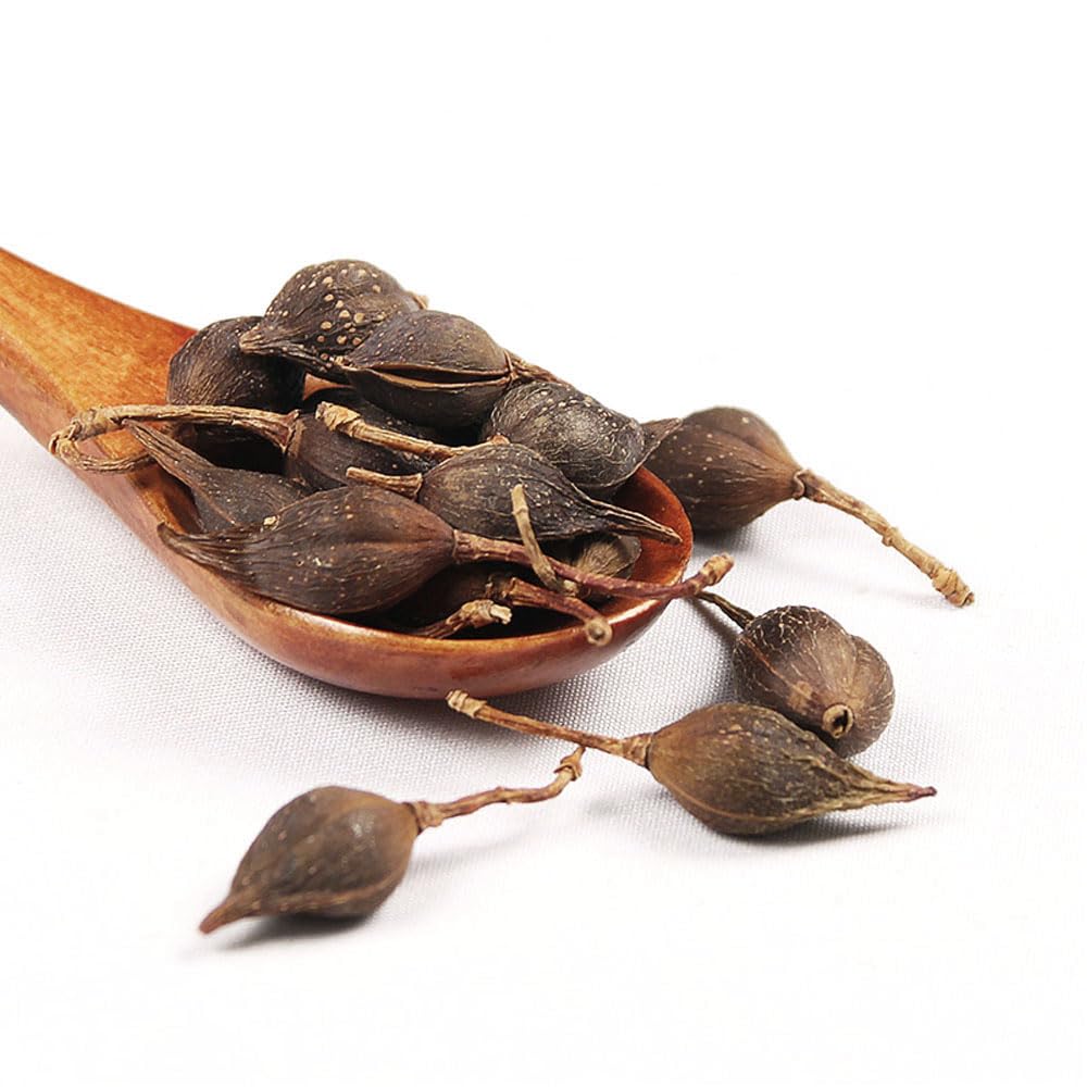 Plant Gift Forsythia Tea ?? 100% Therapeutic Grade Forsythia Dried Fruit Herb Medicine (Forsythia Suspensa) 60G/2.11oz