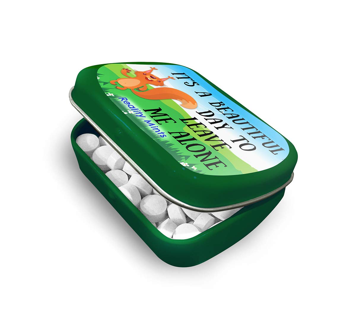 It's A Beautiful Day To Leave Me Alone Mints - Wintergreen Breath Mints - Novelty Candy Gift for Women - Hinged Collectible Tin of Sugar-Free Candy
