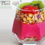 Plant Gift 100% Pure Beetroot Powder ???? Natural Beetroot Flour, Great Flavor for Drinks, Smoothie, Yogurt, Baking, Cookies, Cakes and Beverages