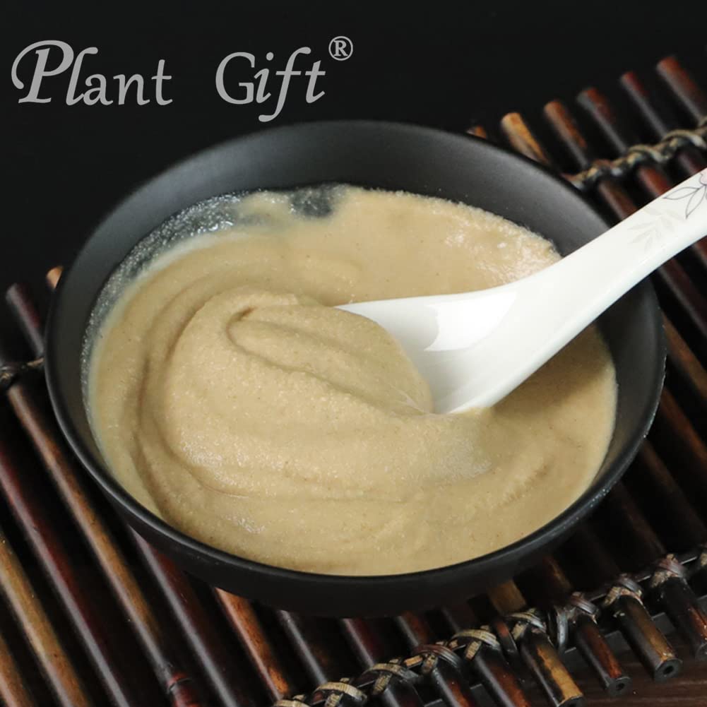 Plant Gift 100% Pure Angelica Dahurica Powder ??? Natural Angelica Flour, Dong Quai Root Powder for Drinks, Adds Flavor and Taste Non-GMO Powder, No