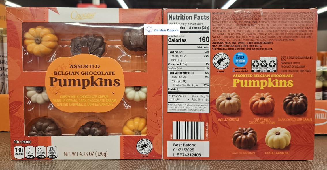 Choceur Limited Edition Assorted Belgian Chocolate Pumpkins Box 4.23oz 120g (Two Boxes)