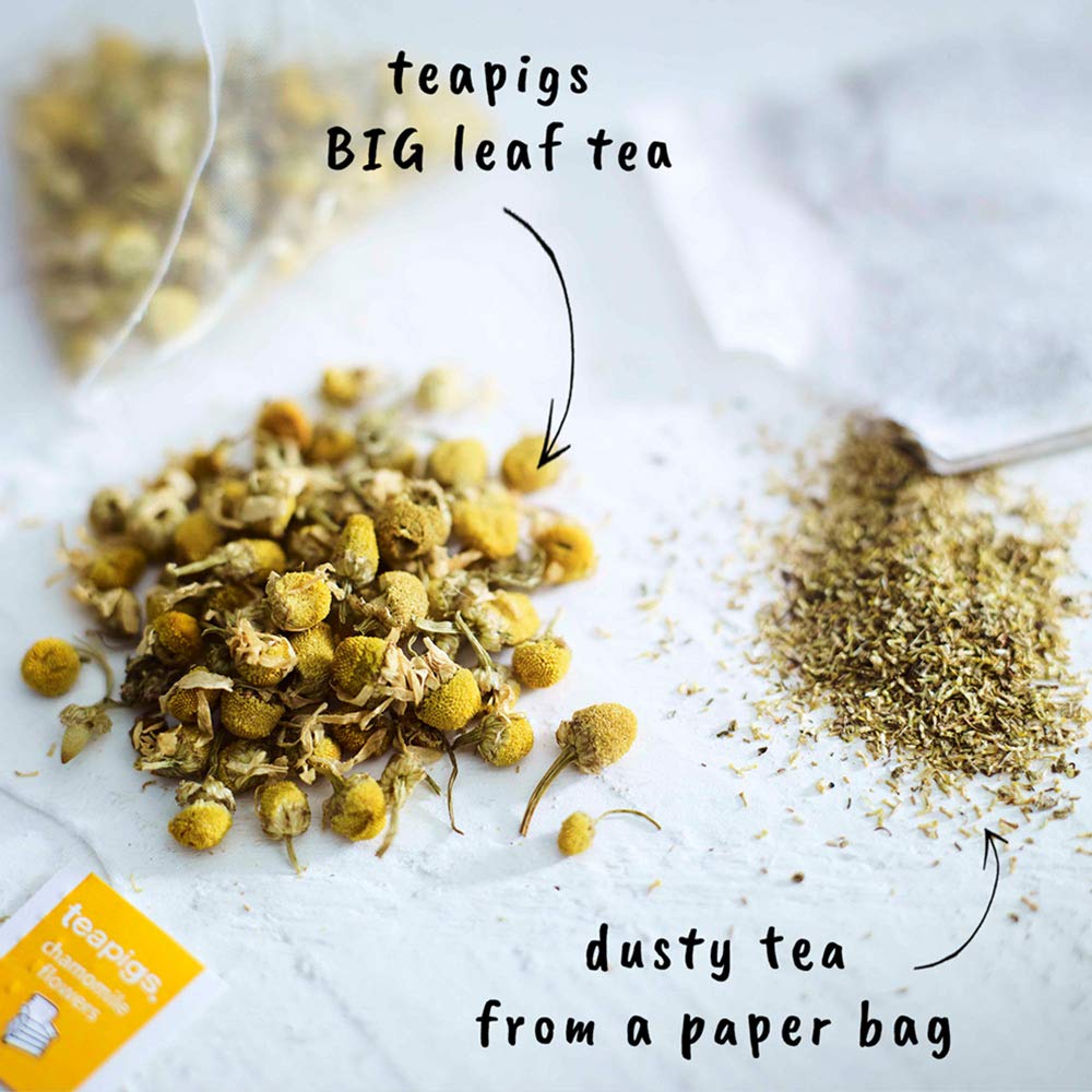 Teapigs Chamomile Flowers Tea Made With Whole Tea Leaves, Natural Ingredients, Non-GMO, Caffeine-Free Sleep Tea – 50 Count (1 Pack of 50 Teabags)