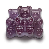 All City Candy Flavorful, Fresh & Soft 5 Pound Bulk Gummi Bear Candy Bags Individual Fruit Flavors World's Best Gummy Candy (Grape)