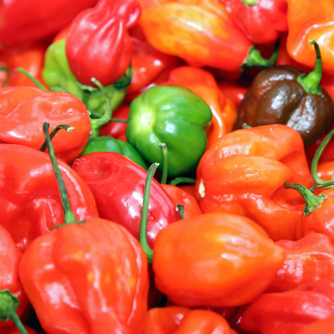 GranAroma Habanero Chile Powder, 11.2 oz, Hot & Spicy, Soups & Sauces