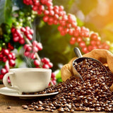 Lion Coffee, Gold Roast, Whole Bean, 10 Ounce Bag (Pack of Three)