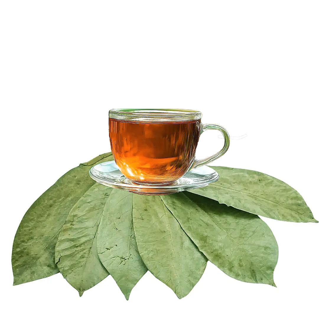 Graviola Tea Company® Wildcrafted Graviola Soursop Leaves (±25 g / ±0.8 oz) Approx. 100 Whole Leaves