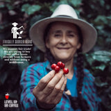 Barbarossa Coffee Chemex Blend - Natural Premium Quality Handcrafted Medium Dark Gourmet Artisan Roasted Whole Low Acidity Coffee Beans | 2019