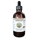 Hawaii Pharm Eyebright Alcohol-Free Liquid Extract, Eyebright (Euphrasia officinalis) Dried Herb Glycerite Natural Herbal Supplement 2 oz