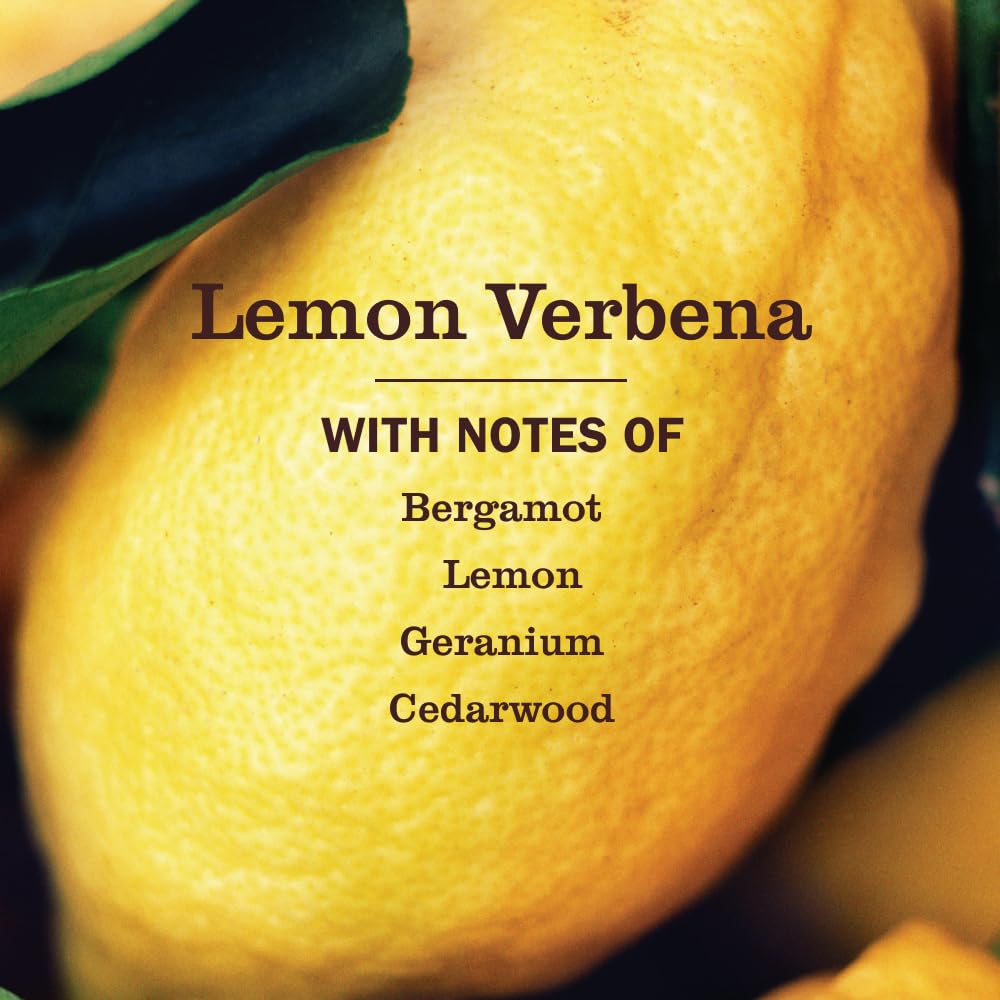 Mrs Meyer's Lemon Verbena Multi Surface Concentrate, 32 FZ