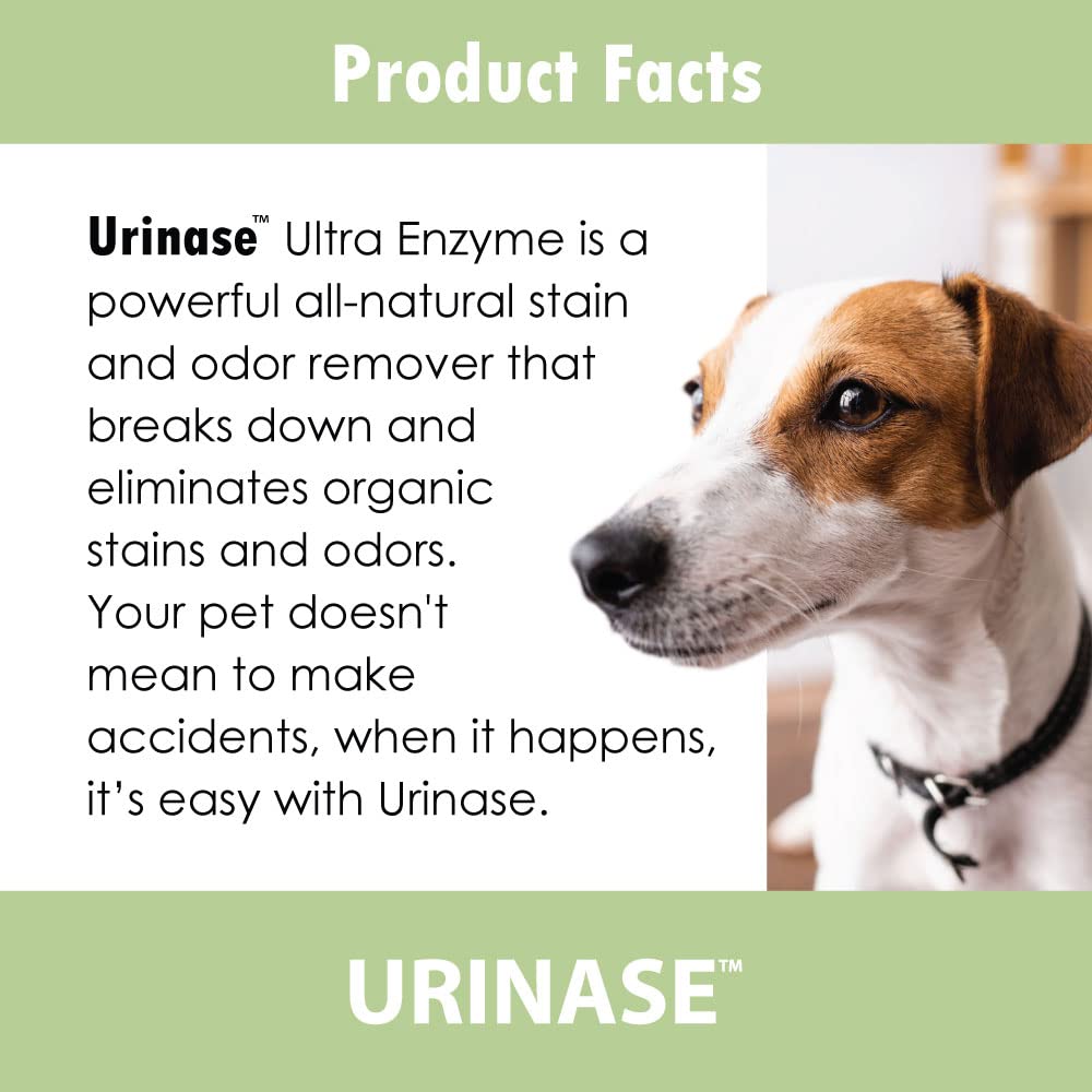 URINASE Ultra Enzyme Formula Stain & Odor Remover Spray, Carpets & Rugs, Hardwood & Furniture, Crates & Litter Boxed, Non-Toxic, Urine Destroyer, 4 oz