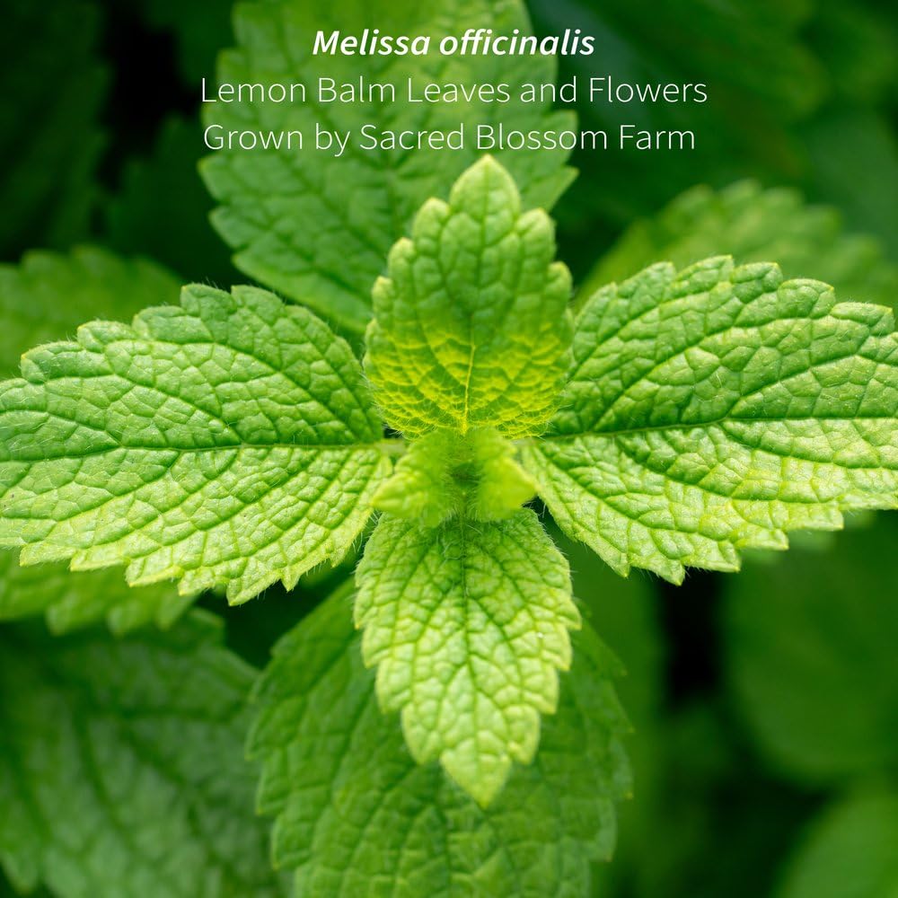 Lemon Balm Tea (Melissa officinalis) Loose Leaf | Organically Grown in Wisconsin | Calming Herbal Tea | 4.9 oz (69 Servings) | Single Source