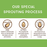 Lark Ellen Farm Sprouted Organic Certifed Walnuts Unsalted - Non GMO, Keto Snacks, Paleo, Gluten Free, Vegan, Organic, Plant Based, High Protein, Low