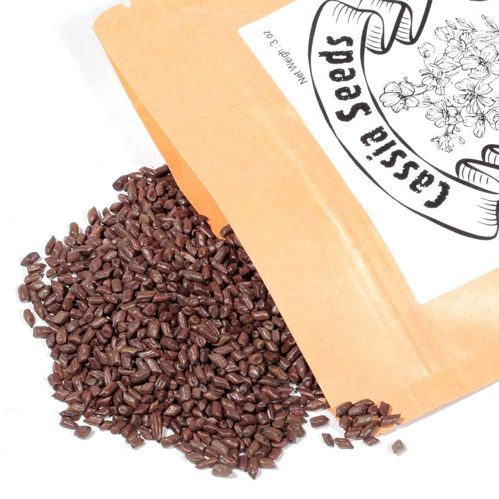 EidolonGreen [China Medicinal Herb] Natural Organic Roasted Cassia Seed Tea - Bulk Jue Ming Zi (???) - No Sugar, No Additives, 3 Oz / 88g