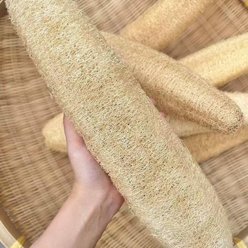 VEROMOVE Extra Long Natural Loofah Sponge, Dried Luffa Shower Sponge, Cut-to-Size Plant Fiber Body Scrubber for Exfoliating