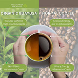 Amazonian Treasure Organic Guayusa Loose Leaf Tea, 16 OZ (1LB), Smooth Energy Boost, Alternative to Coffee & Yerba Mate, 60 mg Caffeine per Serving.
