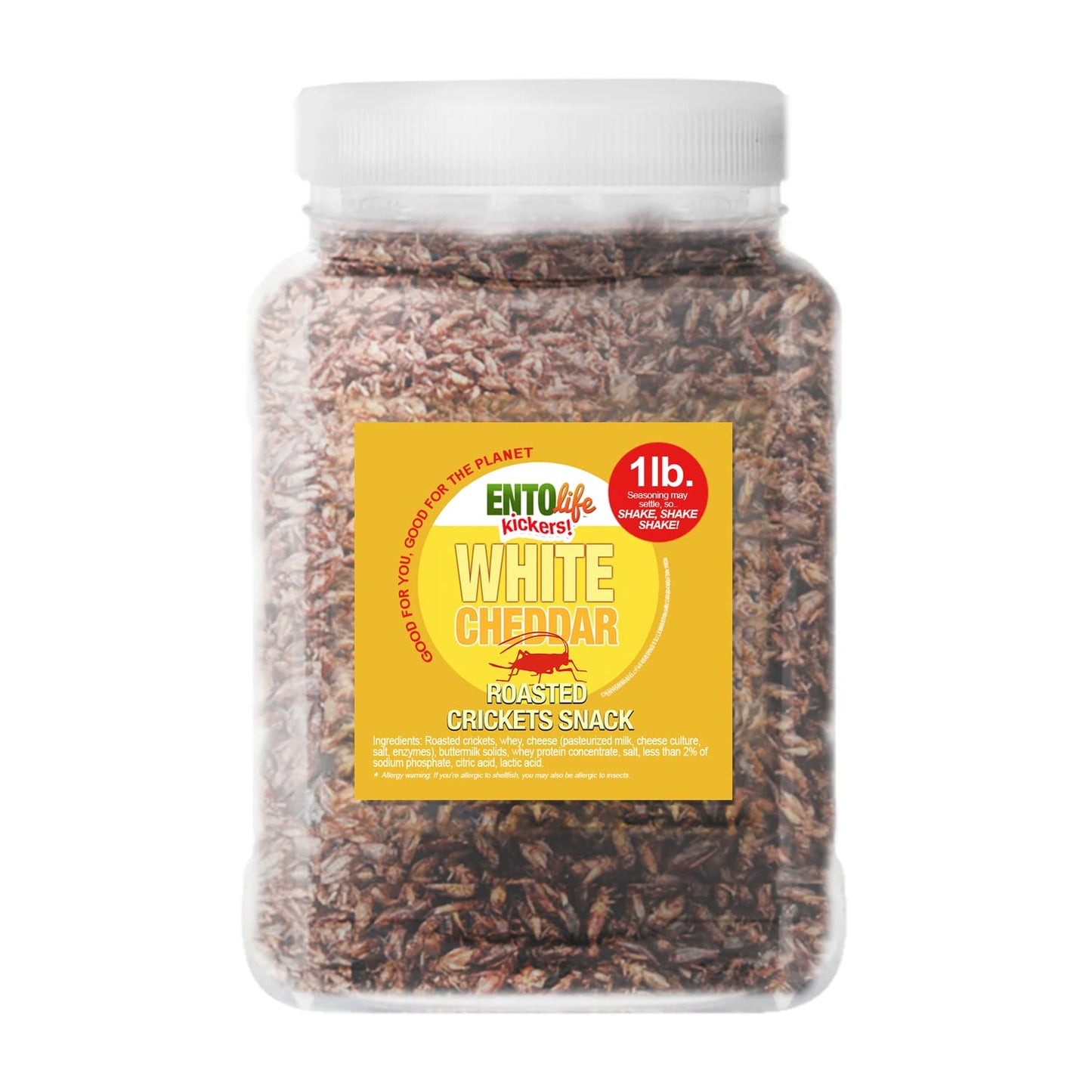 White Cheddar Flavored Edible Crickets - Pound Size - Pound Size - Crickets you can eat - Farm raised for human consumption, 16 Ounce