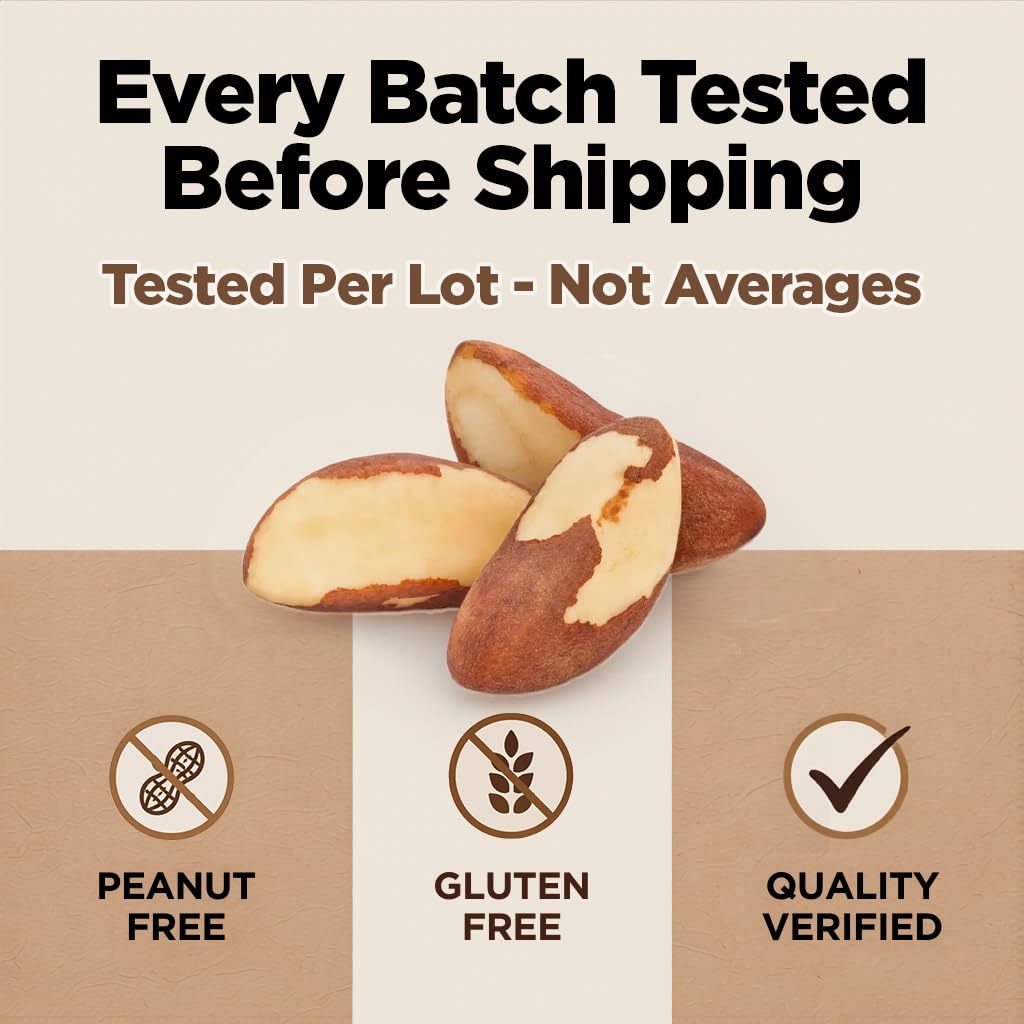 Premium Wild Harvested Raw Brazil Nuts, 1 lb (16oz) - High Selenium, Batch Tested Peanut & Gluten Free, Non-GMO, Kosher, Resealable Bag