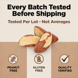 Premium Wild Harvested Raw Brazil Nuts, 1 lb (16oz) - High Selenium, Batch Tested Peanut & Gluten Free, Non-GMO, Kosher, Resealable Bag