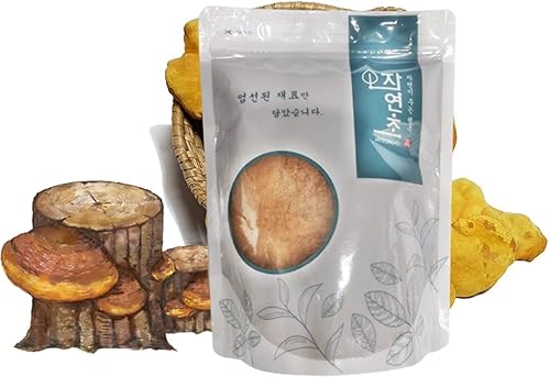 Organic Natural Pure Phellinus linteus Extract Powder-7.05 Ounce (200g)