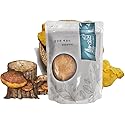 Organic Natural Pure Phellinus linteus Extract Powder-7.05 Ounce (200g)