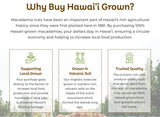 Hawaiian Macadamia Nut Company Premium Whole Kernel Macadamia Nuts, Dry Roasted with Sea Salt, 100% Hawai'i-Grown - Buttery Smooth Crunch, Sustainably