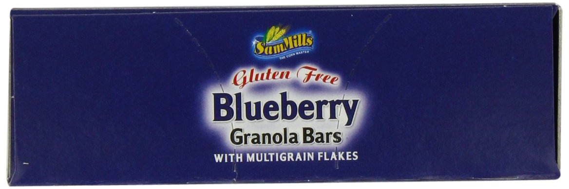 Sam Mills Gluten Free Granola Bars, Blueberry, 5 Count ( 1 oz Bars )