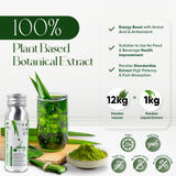 Pandan Extract Liquid Concentrate | No Artificial Additives, No Sugar Added | 100% Natural Asian Gourmet Flavoring & Coloring Ingredient for Healthy