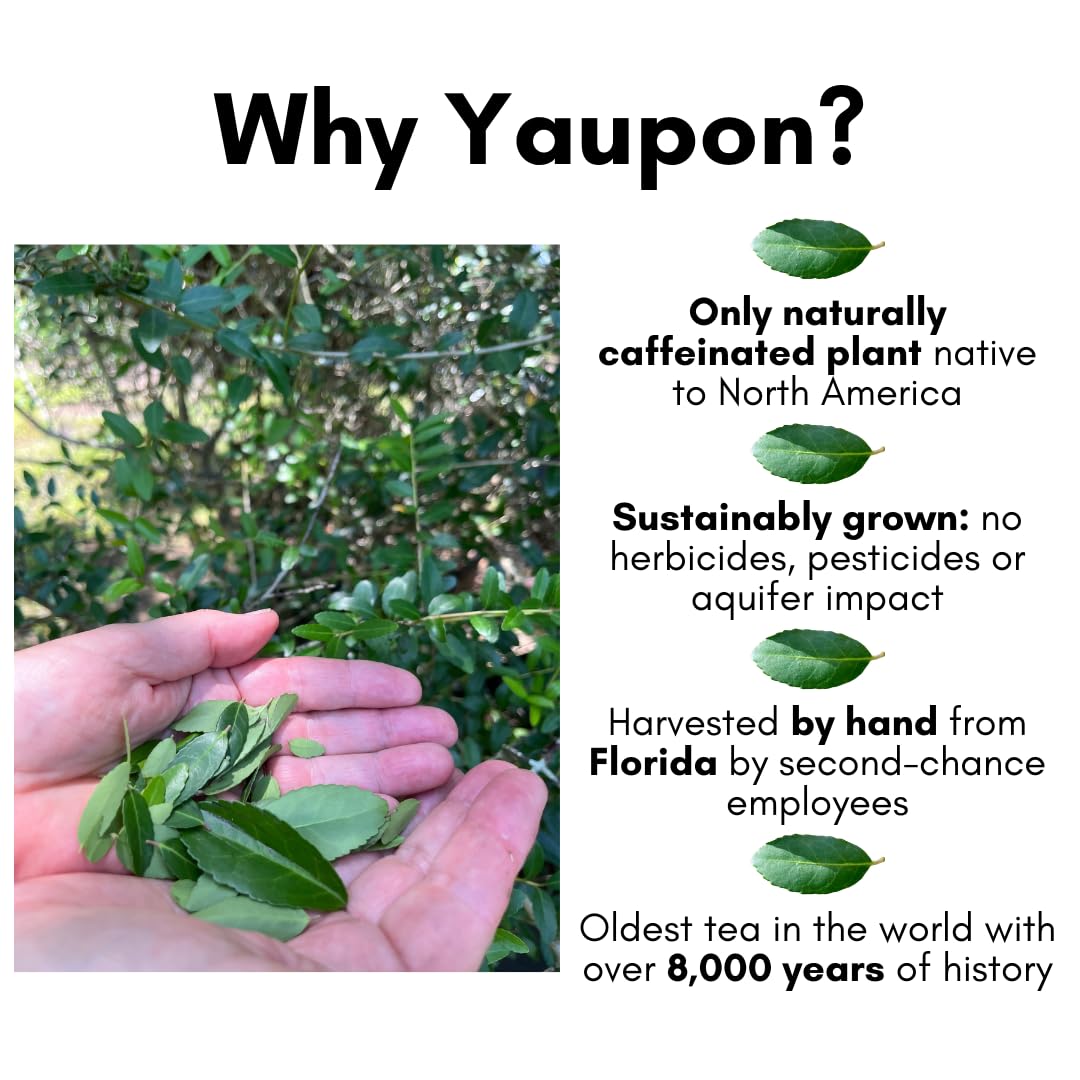 Rise Yaupon Chocolate Mint-Up Yaupon Holly Tea, 20 Teabags, 1.06oz, a blend of American-grown Yaupon Holly combined with Spearmint, Peppermint