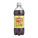 AmishTastes PA Dutch Birch Beer, A Dark, Old-Fashioned Favorite Amish Drink, 20 Oz. (Pack of 4)