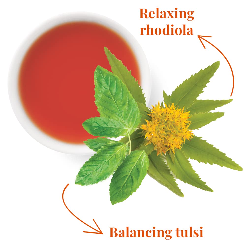 The Republic of Tea - SuperAdapt Stress Suppress Herbal Tea, 36 Tea Bags, Organic, Caffeine Free, Tulsi and Rhodiola Herbal Tea