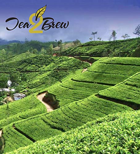 Tea2Brew | Jasmine Green & Pure Ceylon Green Tea | Whole Leaf loose tea 100g (3.5oz) each | Pack of 2