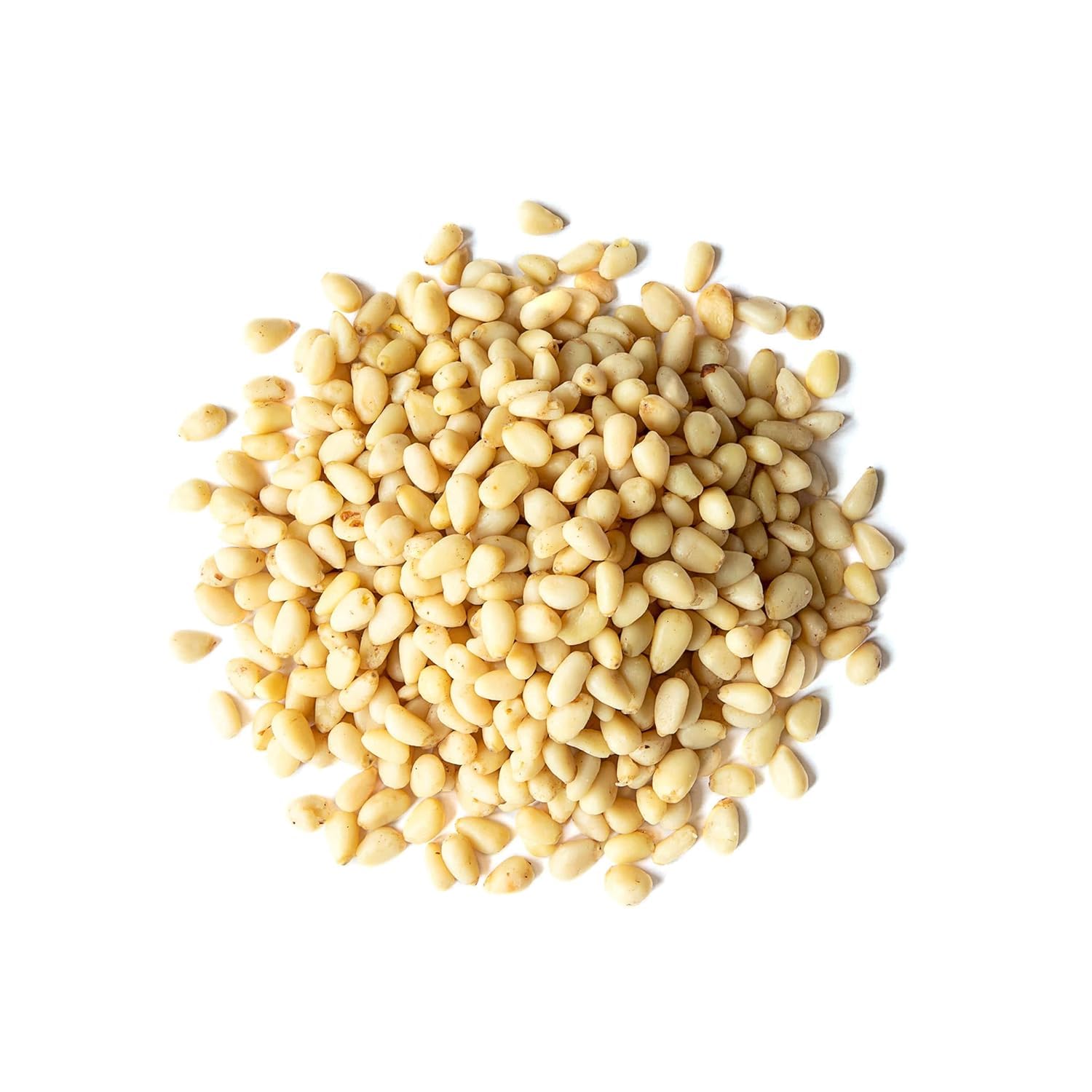 Food to Live Organic Pine Nuts, 18 Pounds - Non-GMO, Whole Raw Pignolias, Unsalted, No Shell, Vegan, Kosher, Bulk Snack. Rich in Vitamin E, Protein