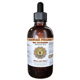 Sea Cucumber (Holothuria Atra) Liquid Extract 4 fl.oz (120ml)