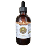 Sea Cucumber (Holothuria Atra) Liquid Extract 4 fl.oz (120ml)