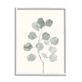 'Flattened Sage Botanical Stem Delicate Leaf'| Framed Giclee Art