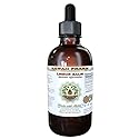 Lemon Balm Alcohol-Free Liquid Extract, Lemon Balm (Melissa officinalis) Dried Leaf Glycerite Hawaii Pharm Natural Herbal Supplement 2 oz