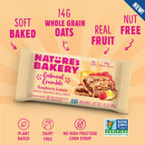 Nature’s Bakery Fig Bars Variety Pack, 36 Count - Strawberry, Blueberry, Raspberry, Original Fig, Peach Apricot, , Oameal Crumble Flavors: Apple
