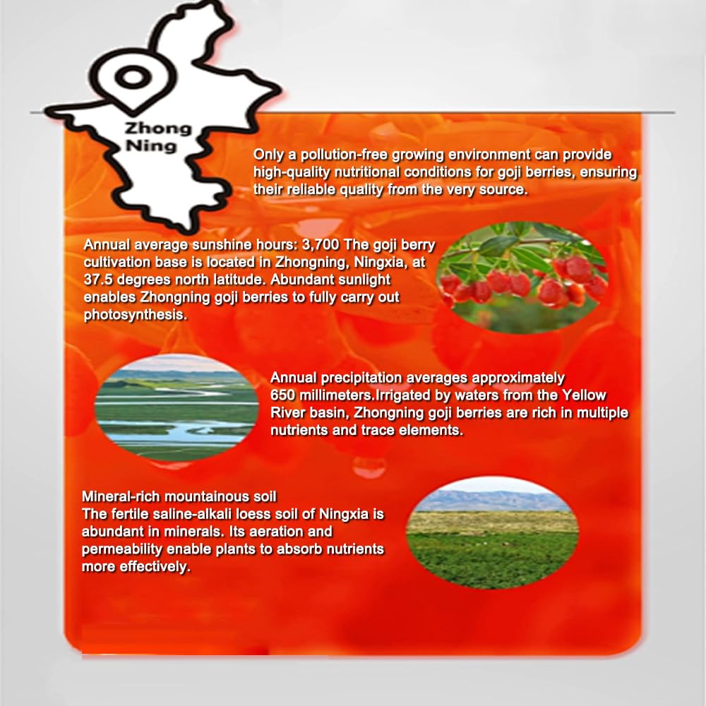 Somnus Pulptonic Goji Berries Juice Drink- For Smoothies, Trail Mix, Baked Goods, Oatmeal & More - Vitamin A, Antioxidants, Fiber - Goji Berry