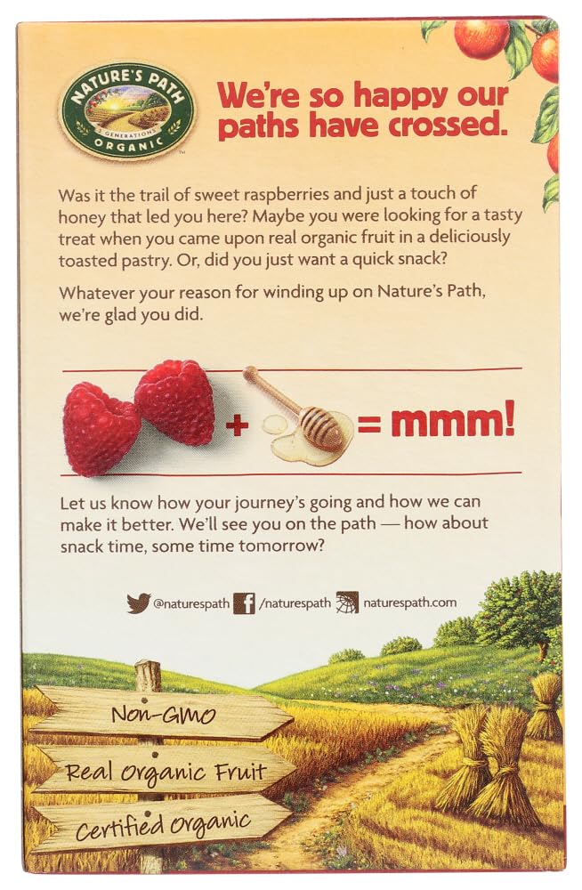 Natur?'s Path ?rganic Fr?st?d T?ast?r Pastri?s - Razzi Raspb?rry - Cas? ?f 12-11 ?z. - Bulk Buy