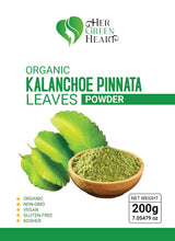 Kalanchoe Pinnata Leaves Powder Herbal Tea - 100% Pure, Organic Ground Powder for Natural Use in Cooking and DIY Projects