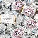 124 Pcs Birthday Candy Party Favors Miniatures Chocolate & Silver Kisses (1.5 lbs, Approx. 124 Pcs)