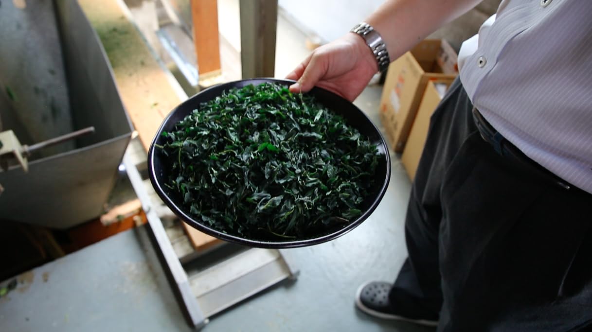 Jyoraku Matcha 30g | Premium Ceremonial Grade Usucha | Kyoto-Grown