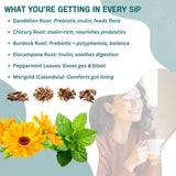 Probiotic Support Herbal Tea - Gut Balance & Digestive Comfort Blend | Dandelion, Chicory, Burdock, Elecampane & Peppermint | Caffeine-Free | + 35