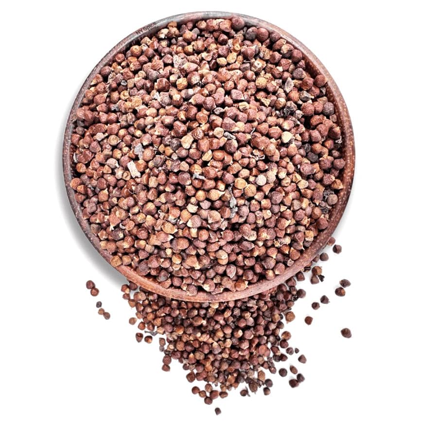 NY Spice Shop Grains of Paradise - Premium Plant Based African Spice (Aframomum melegueta) - Alligator Pepper Bulk - Ginny Guinea Grains in Resealable