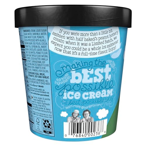 Ben & Jerry's Peanut Butter Half Baked Chocolate & Peanut Butter Ice Cream Pint Non-GMO 16 oz