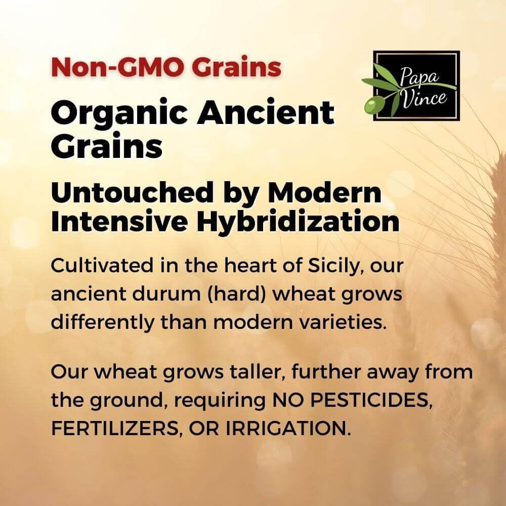 Papa Vince Organic Whole Wheat Non Enriched Rigatoni: Low Gluten Italian Pasta made in Italy from Organic Non GMO Khorasan Ancient Grain grown in